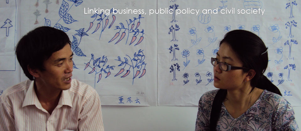 Linking business, public policy and civil society