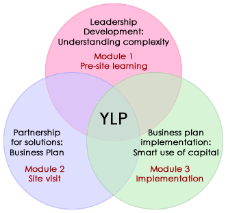 YLP